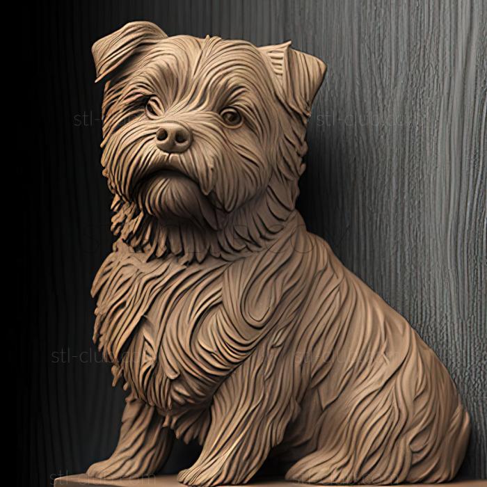 3D model st Norfolk Terrier dog (STL)